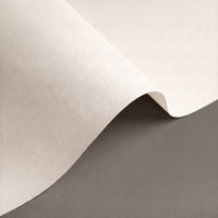 Papier Olin Design Rough, 90g/m2, Bright White, 720x1020mm, B1+, LG, ryza 250 ark.