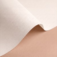 Papier Olin Design Rough, 200g/m2, Soft White, 720x1020mm, B1+, LG, ryza 125 ark.