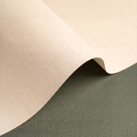 Papier Olin Design Regular, 240g/m2, Warm White, 720 x 1020 mm, B1+, LG, ryza 100 ark.