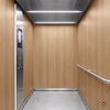 Folie 3M Di-Noc Fine Wood FW-1256 1220 mm x 50 m 7100025830