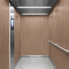 Folie 3M Di-Noc Wood Grain WG-1144EX 1220 mm x 50 m 7100231735