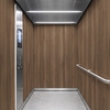 Folie 3M Di-Noc Wood Grain WG-1708 1220 mm x 50 m 7100088985