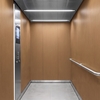 Folie 3M Di-Noc Wood Grain WG-2246 1220 mm x 50 m 7100026744