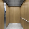 Folie 3M Di-Noc Wood Grain WG-2442 1220 mm x 50 m 7100320883