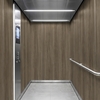 Folie 3M Di-Noc Wood Grain WG-2451 1220 mm x 50 m 7100320974
