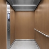 Folie 3M Di-Noc Wood Grain WG-2839 1220 mm x 50 m 7100026740