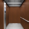 Folie 3M Di-Noc Wood Grain WG-2862 1220 mm x 50 m 7100026743