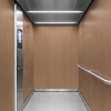 Folie 3M Di-Noc Wood Grain WG-837 1220 mm x 50 m 7000091181