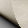 Papier Conqueror Laid, vellum, 100 g/m², 210x297 mm, A4, ze znakiem wodnym