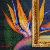 Imagin WW Canvas