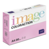 Image Coloraction