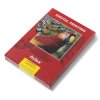CLP Adhesive