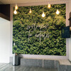 Coala DecoWall S