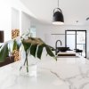 Coala Interior Film marmury