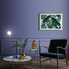 Coala Interior Film jednolite kolory