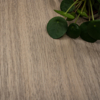 Coala Interior Film drewna