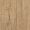 Coala Interior Film drewna