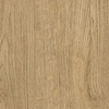 Coala Interior Film drewna