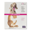 Coala Magnetics Base Adhesive