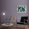 Coala Interior Film jednolite kolory
