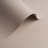 Papier Olin Origins, 120g/m2, Pebble, 700 x 1000 mm, B1, LG, ryza 250 ark.